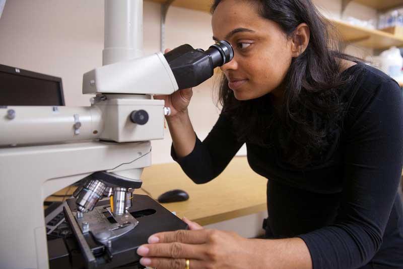 Woman looking in a microscope.