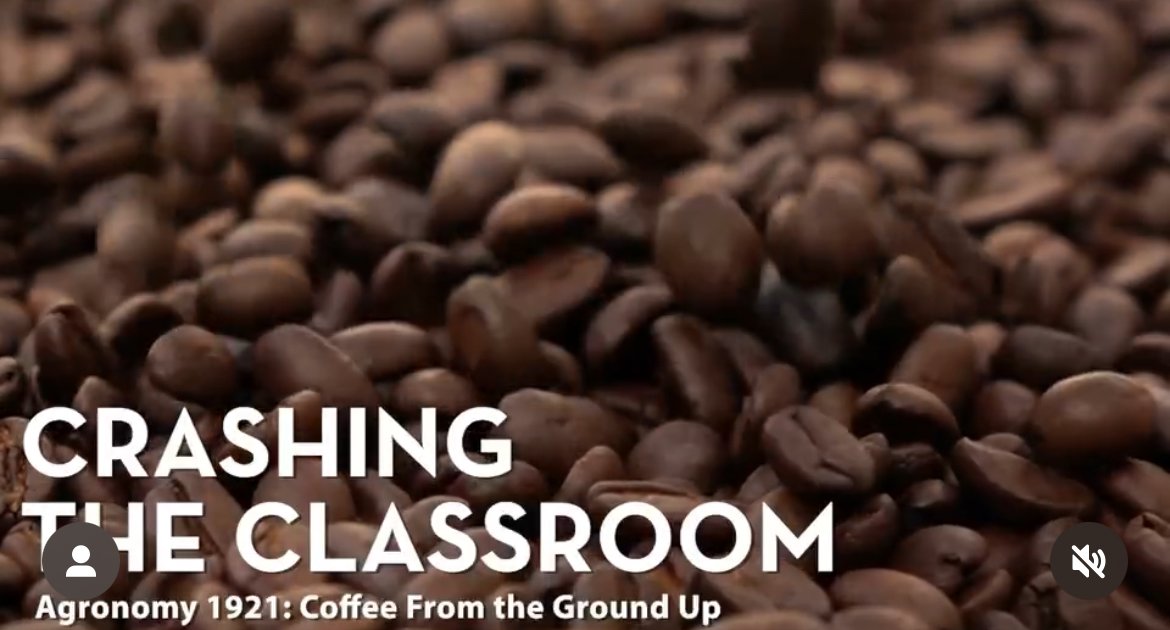 coffee beans with the white letters reading CRASHING THE CLASSROOM.