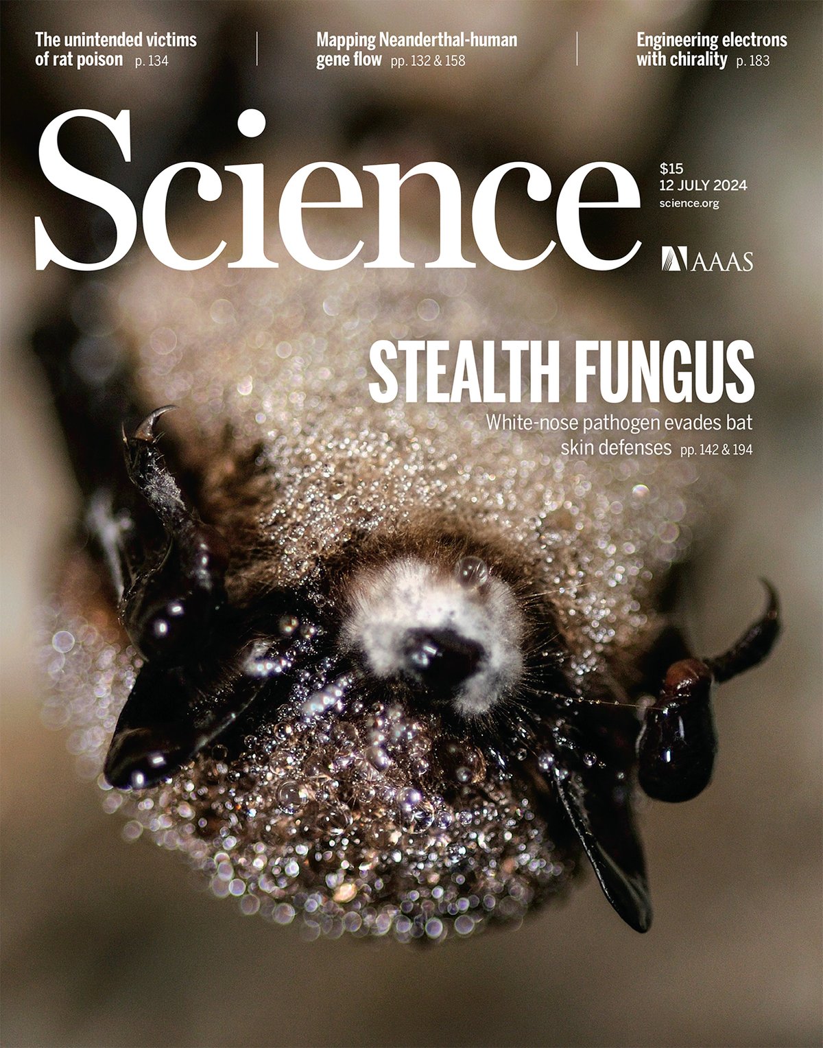 cover of science magazine