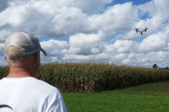 Rear view of a man watching a drone fly over a corn field.