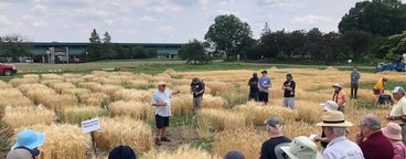 Barley U Field Day 